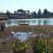 Per raggiungere il lago di Sassano bisogna percorrere viale Chienna, la strada che ci porta a destinazione. Il panorama si apre all'improvviso sulla nostra sinistra: un placido specchio d'acqua largo qualche centinaio di metri e profondo una decina, circondato da vegetazione sulla quale insistono numerosi animali